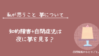 知的障害 自閉症 発達障害 夜 夢 見る